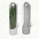 Pote Conservador Ervas Temperos Frescos Plástico 10cm x 6,5 Preserva Sabor Qualidade Ingredientes